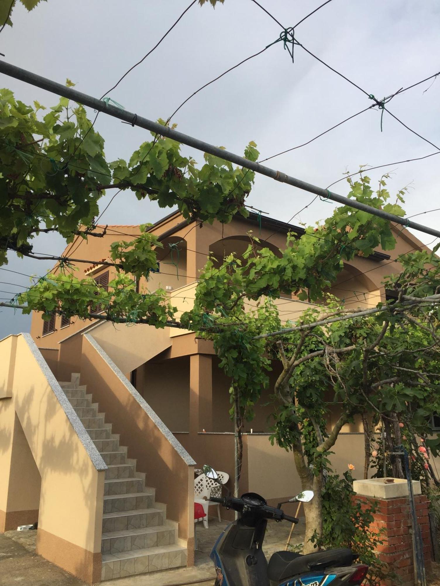 Apartments Anka Nin Exterior foto